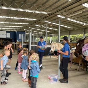 175715299_1256964711425386_5474879939405790491_n