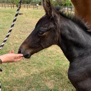 133777000_3390301667746718_3449425127998015180_n